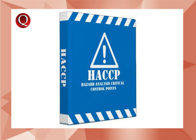 Manuale Haccp E Formazione Del Personale Punto Qualità